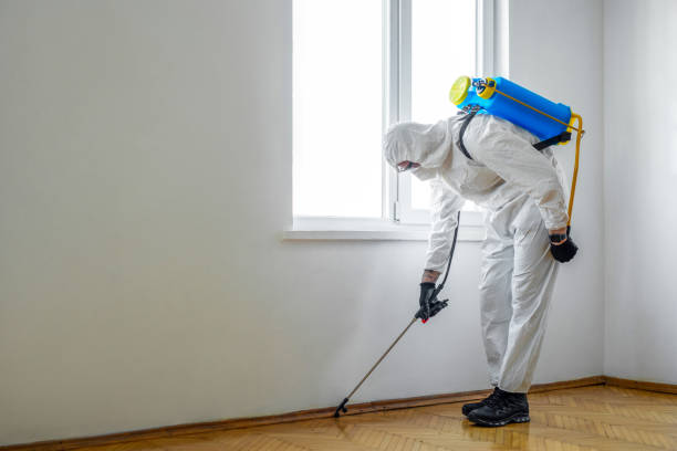 Best Affordable Pest Control Services  in Meraux, LA