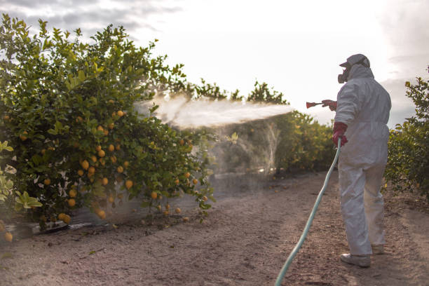 Best Commercial Pest Control Services  in Meraux, LA